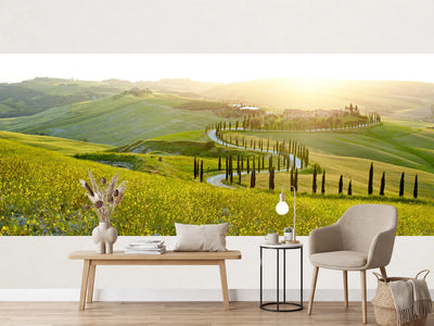 photo-wallpaper-sunny-fields-in-tuscany-italy