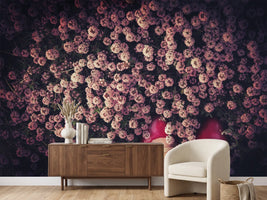photo-wallpaper-thyme-carpet-x