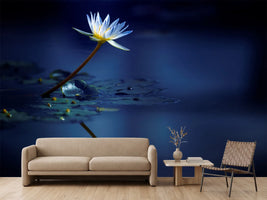 photo-wallpaper-reflection-xdb
