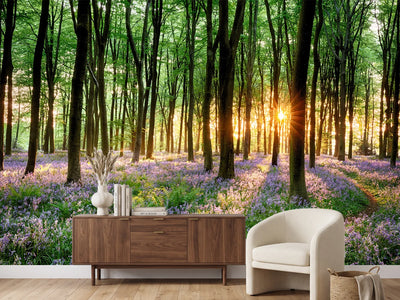 photo-wallpaper-bluebell-forest-path-at-sunrise