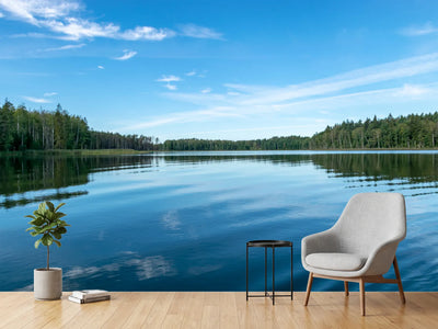 photo-wallpaper-still-forest-lake-beneath-a-wide-summer-sky