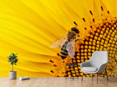 photo-wallpaper-bee-on-the-sunflower