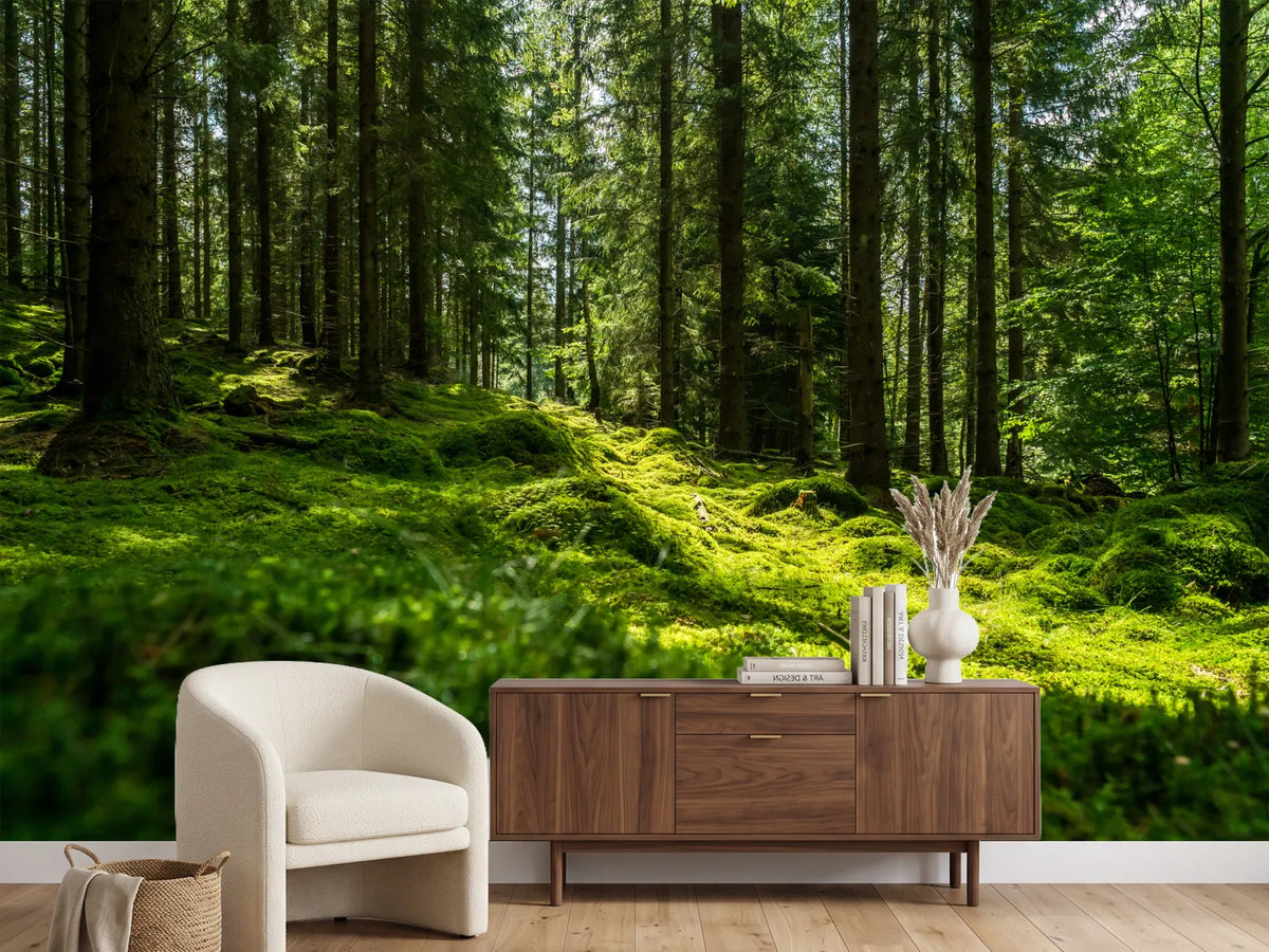 photo-wallpaper-beautiful-green-mossy-forest-in-sweden