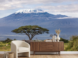 photo-wallpaper-3-elephants-in-front-of-kilimanjaro