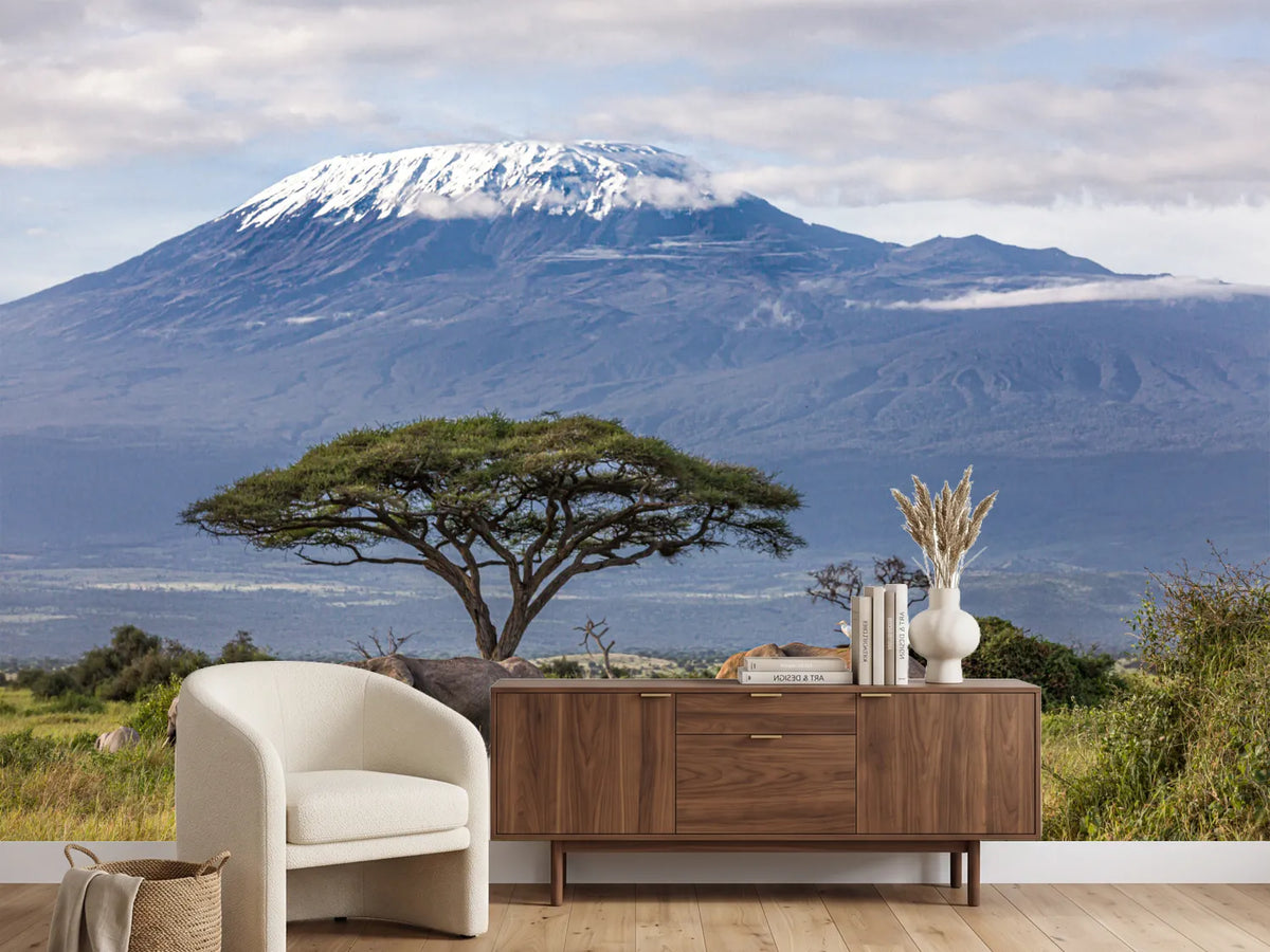 photo-wallpaper-3-elephants-in-front-of-kilimanjaro