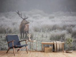 photo-wallpaper-stag-in-frosty-fog