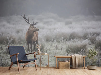photo-wallpaper-stag-in-frosty-fog