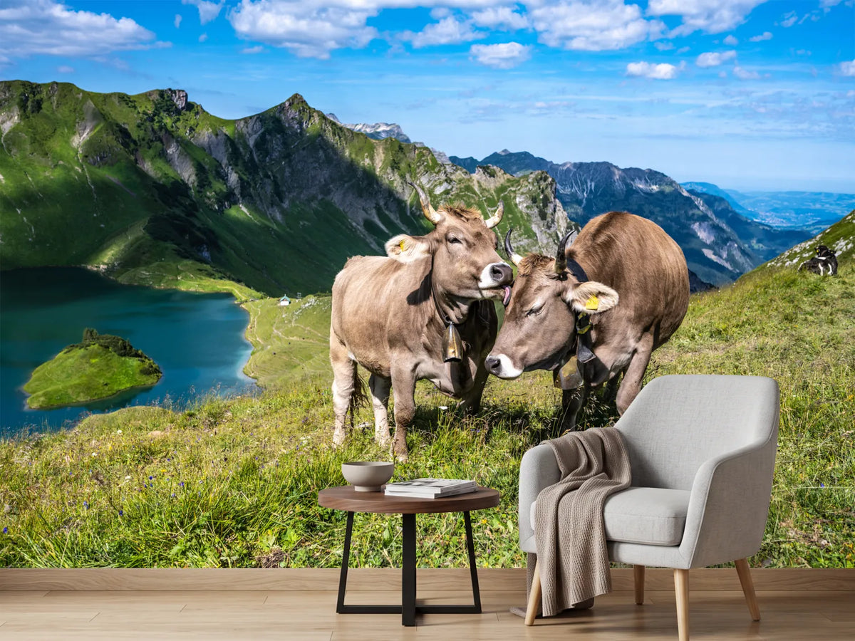 photo-wallpaper-cows-caressing-and-grooming
