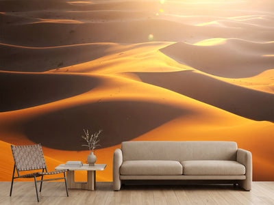 photo-wallpaper-wilderness-journey