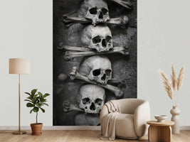 photo-wallpaper-skulls