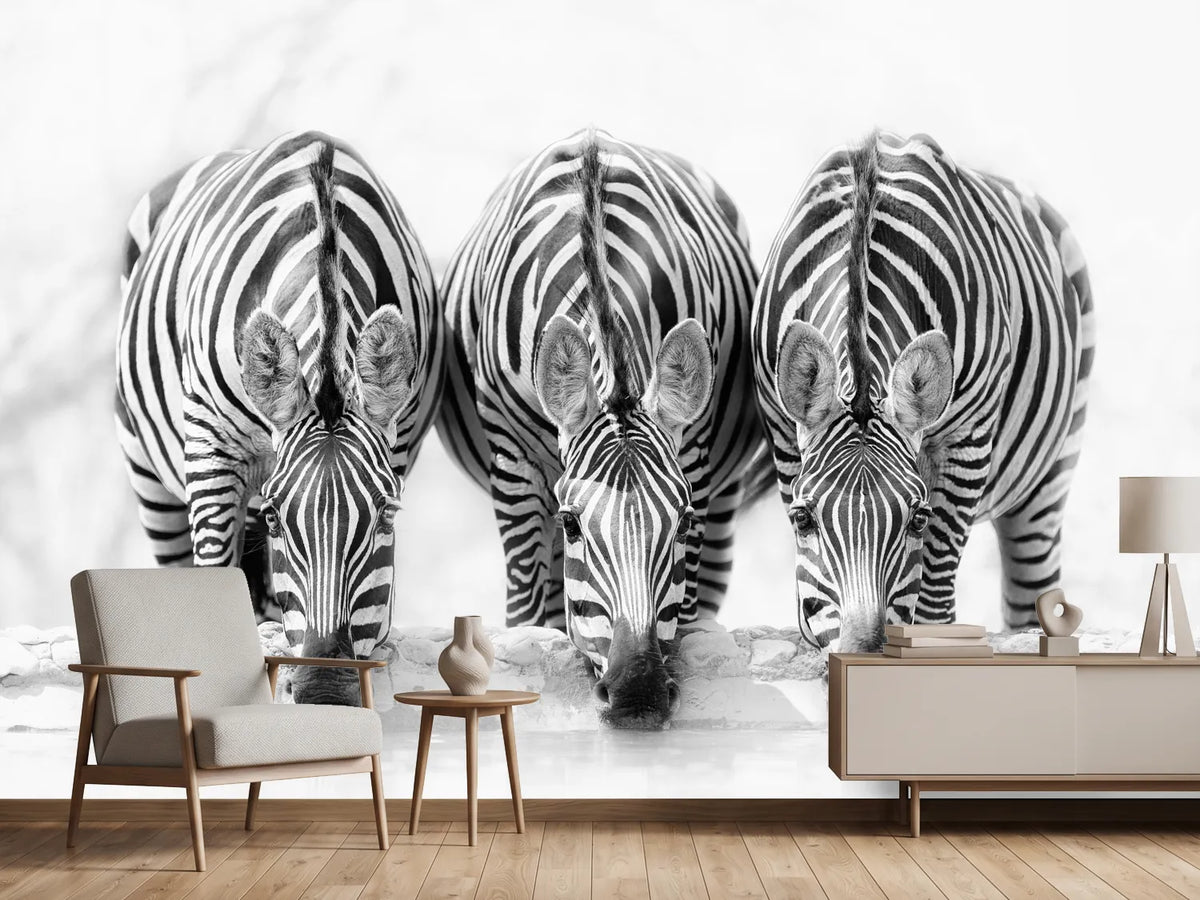 photo-wallpaper-zebras-xbj