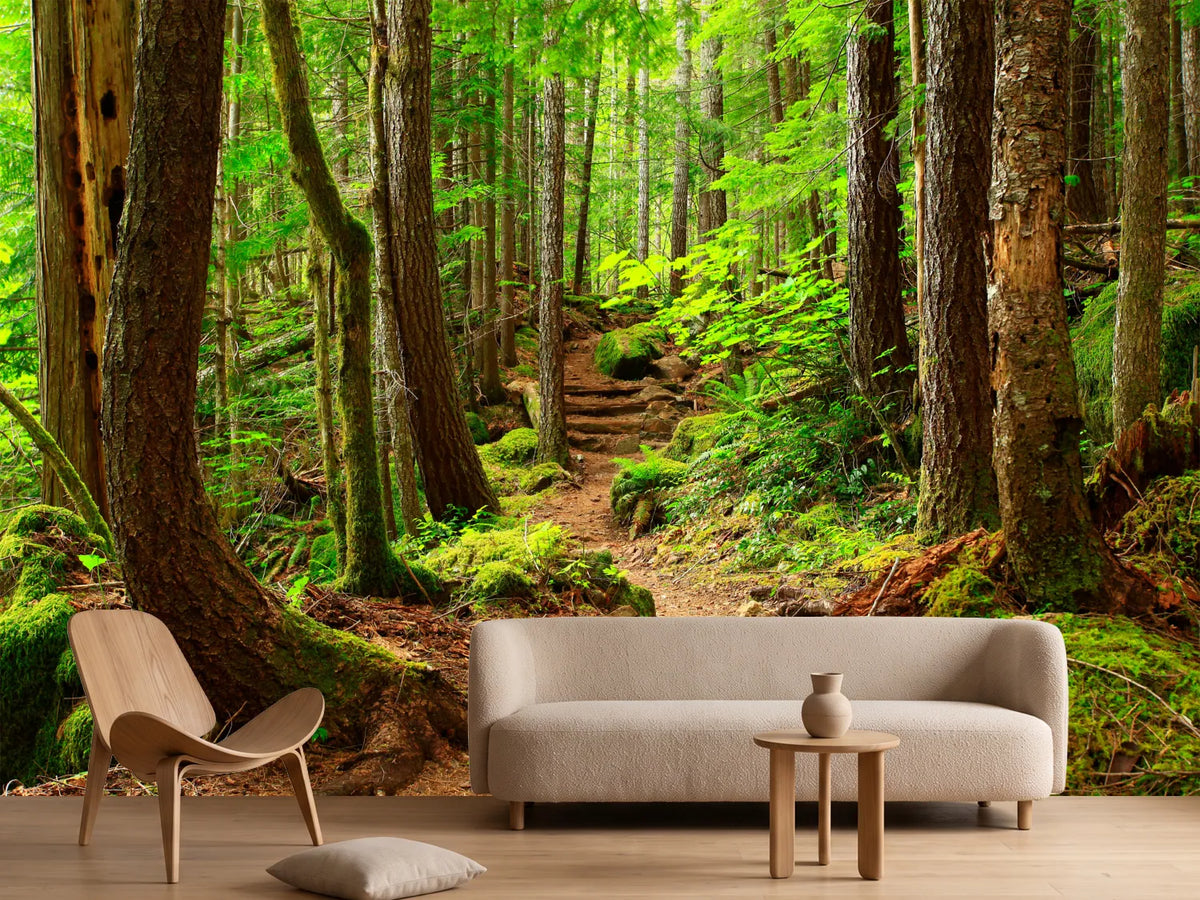 photo-wallpaper-a-picture-of-an-pacific-northwest-forest-trail