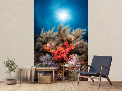 photo-wallpaper-underwater-life