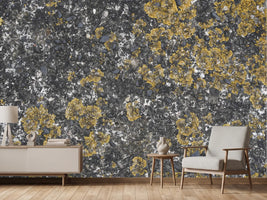 photo-wallpaper-yellow-lichen-on-stone