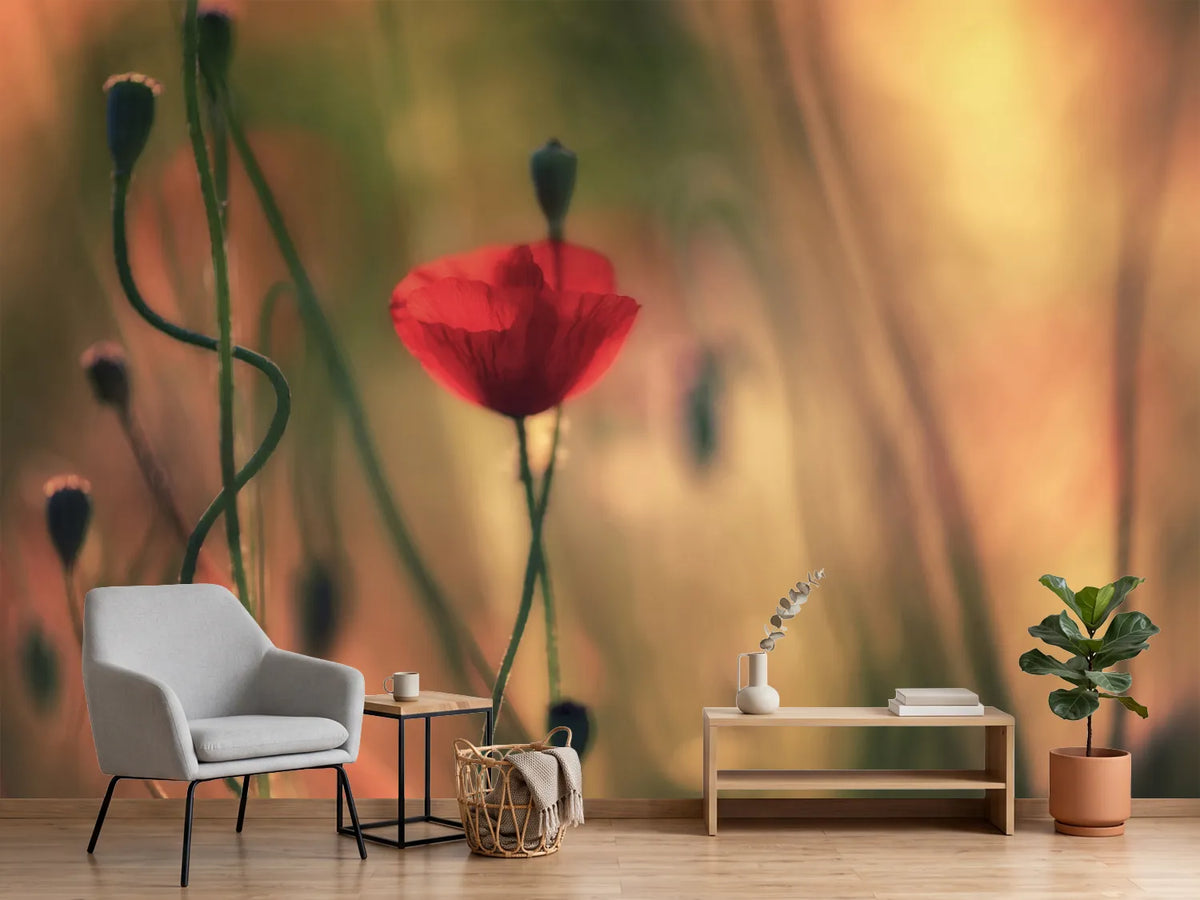 photo-wallpaper-untitled-xxviii