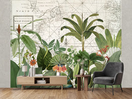 photo-wallpaper-tropical-map-explorations