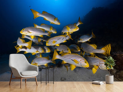 photo-wallpaper-fish-in-the-dance-of-the-waves