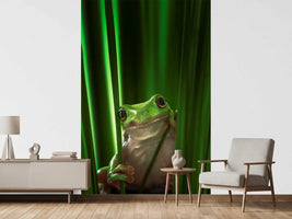 photo-wallpaper-green-frog