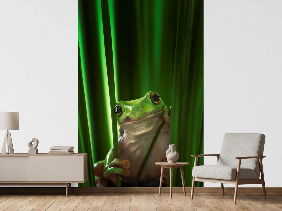 photo-wallpaper-green-frog