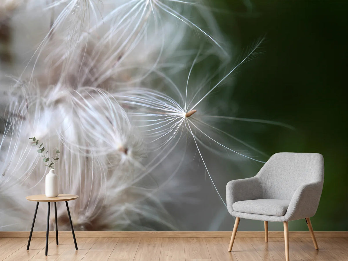 photo-wallpaper-close-up-flowers-fibers