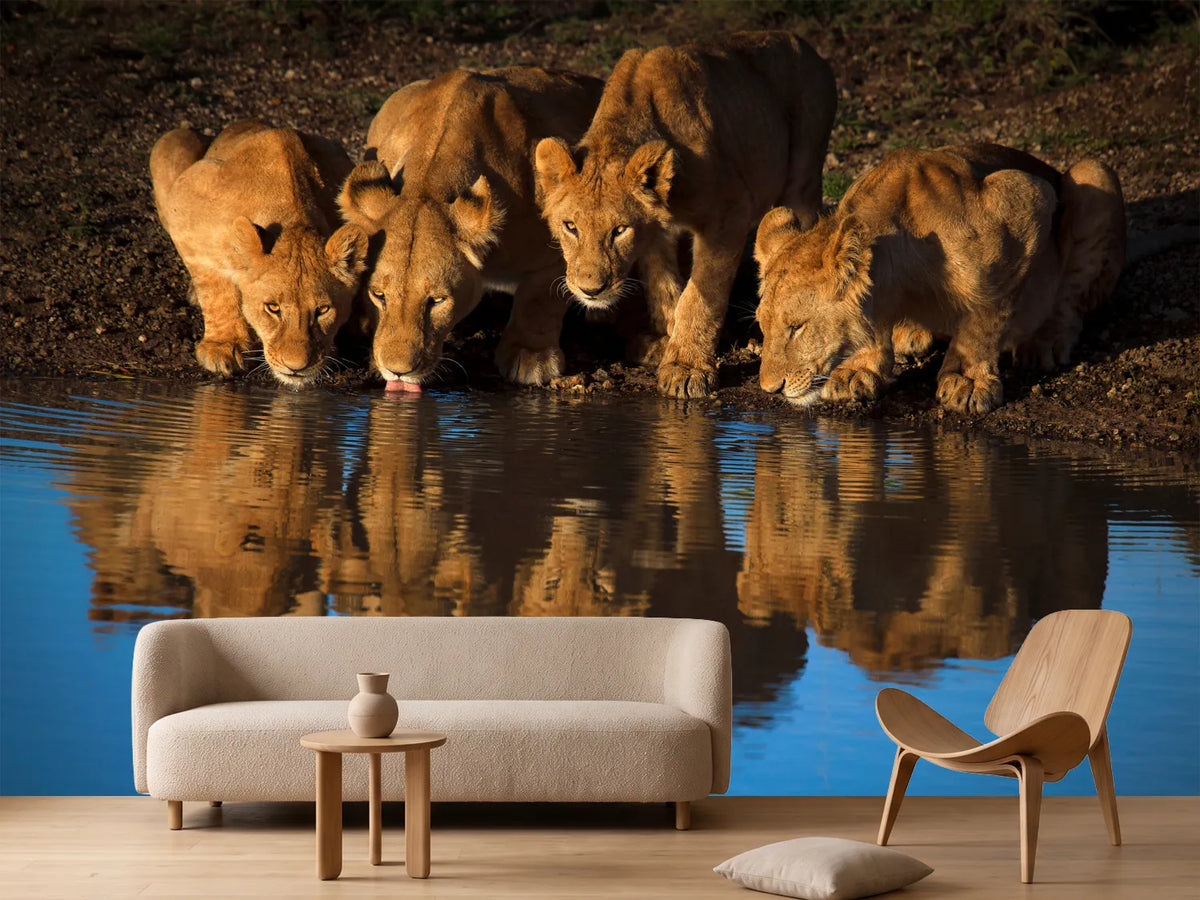 photo-wallpaper-lions-of-mara