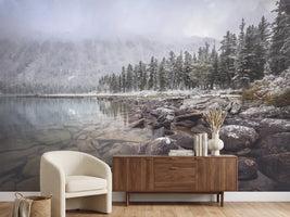 photo-wallpaper-winter
