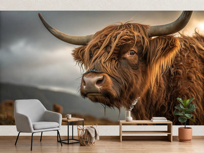 photo-wallpaper-highland-cow-close-up-with-shaggy-coat-under-a-brooding-sky