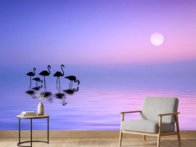 photo-wallpaper-morning-flamingo-x