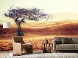 photo-wallpaper-desert-storm