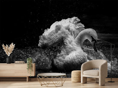 photo-wallpaper-in-motion