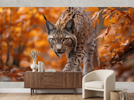 photo-wallpaper-lynx-prowling-through-golden-autumn-leaves
