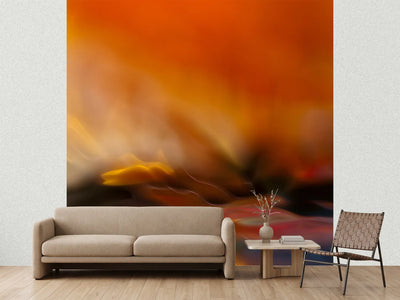photo-wallpaper-red-fantasy