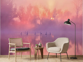 photo-wallpaper-swans-misty-morning