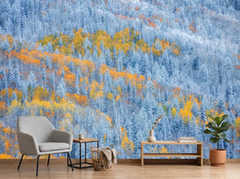 photo-wallpaper-snowy-autumn-forest