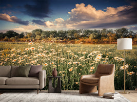 photo-wallpaper-the-ox-on-the-river