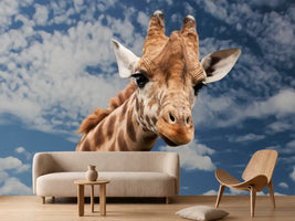 photo-wallpaper-attention-giraffe