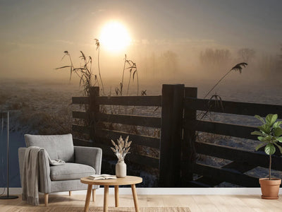 photo-wallpaper-winter-mood