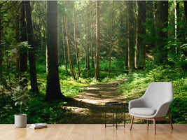 photo-wallpaper-summer-sunny-forest