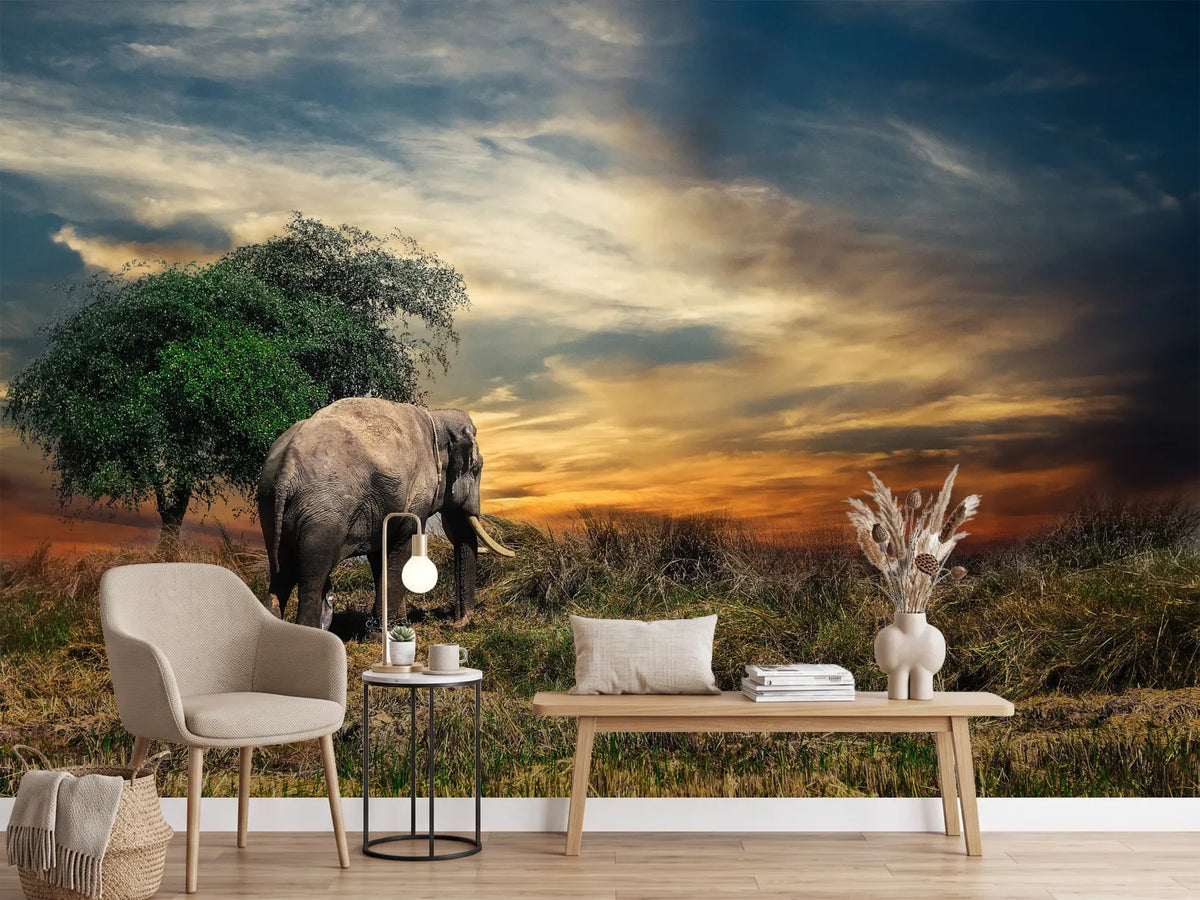 photo-wallpaper-the-elephant-in-the-sunset