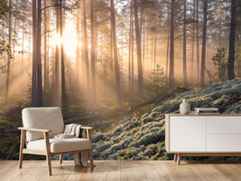 photo-wallpaper-foggy-morning-in-the-forest