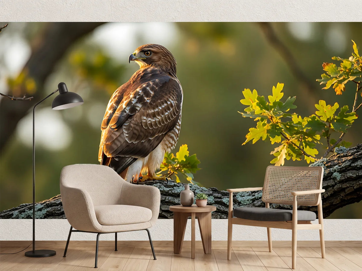 photo-wallpaper-bird-of-prey-on-an-oak-branch-in-golden-evening-light
