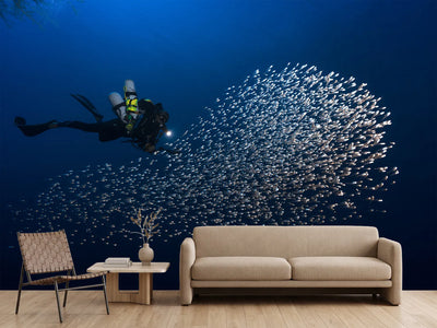 photo-wallpaper-alvin-shoal