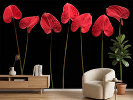 photo-wallpaper-botanical-hearts