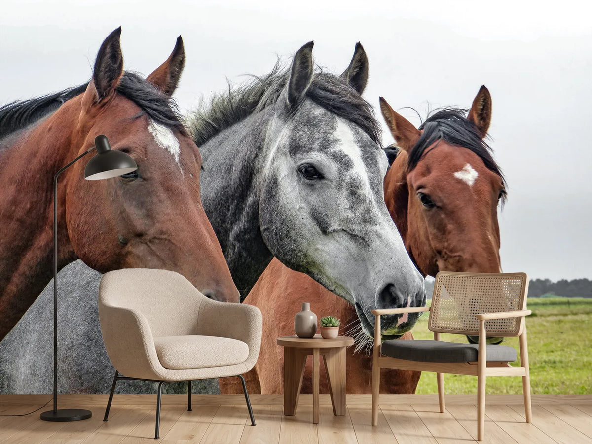 photo-wallpaper-the-horse-trio