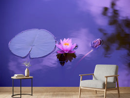 photo-wallpaper-lotus-flower