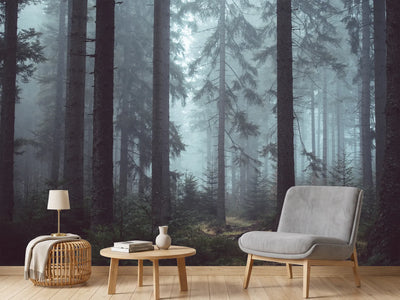 photo-wallpaper-forest-in-the-fog