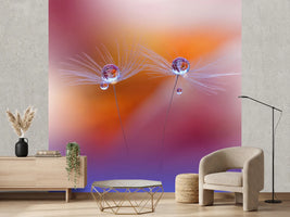 photo-wallpaper-two-worlds