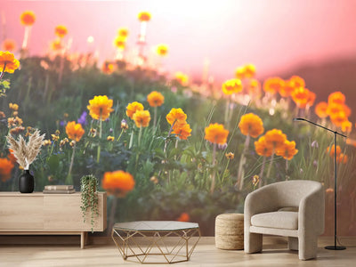 photo-wallpaper-the-mountain-meadow