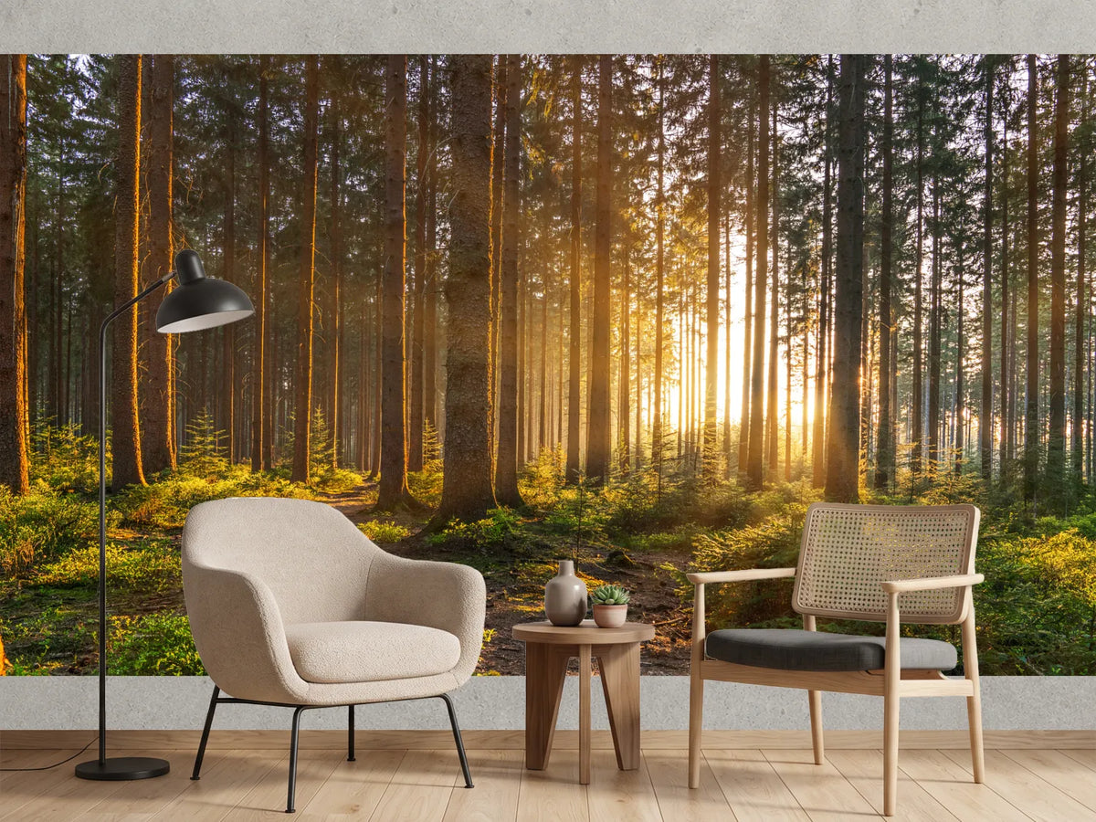 photo-wallpaper-silent-forest-in-spring-with-beautiful-bright-sun-rays