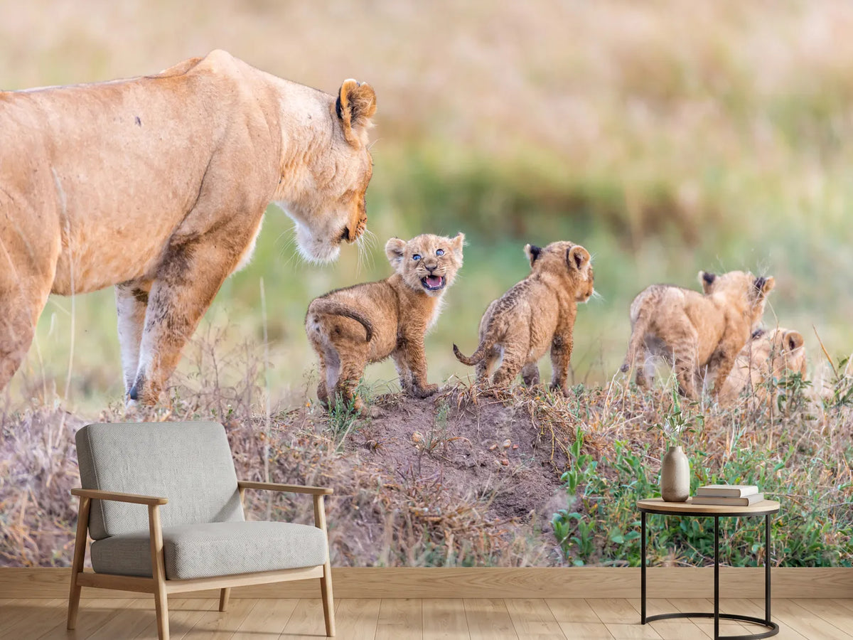 photo-wallpaper-lets-go-mom